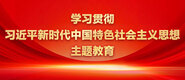 穴内冒白奖学习贯彻习近平新时代中国特色社会主义思想主题教育_fororder_ad-371X160(2)